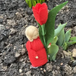 Tulpe - Jahreszeitentisch  - Blumenkinder - Frühling