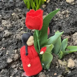 Tulpe - Jahreszeitentisch  - Blumenkinder - Frühling