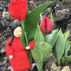 Tulpe - Jahreszeitentisch  - Blumenkinder - Frühling