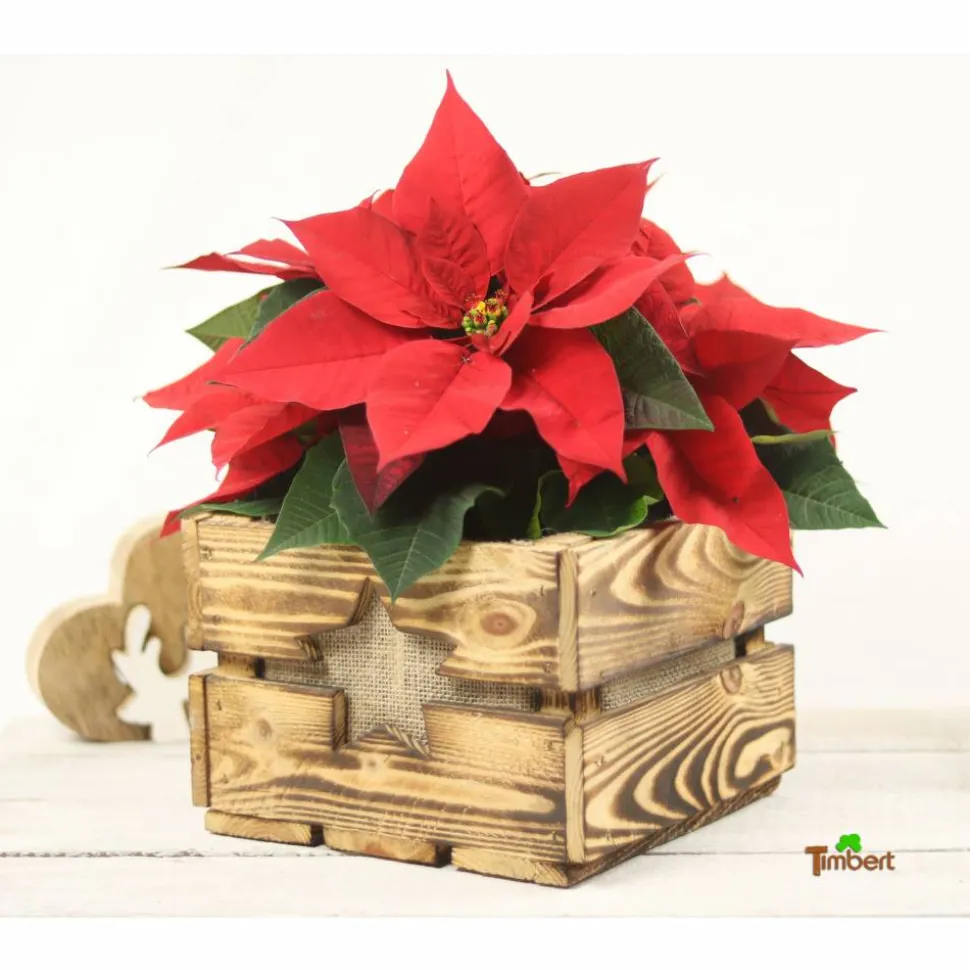 Vintage Blumenkiste Weihnachtsgeschenk Rustikale Holzkiste mit Stern Obstkiste für Blumen Geschenkkiste Blumentopf aus Holz Weihnachtsstern