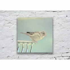 Vogel Print, herziges Geschenk für das "Spatzl" an deiner Seite, Fine Art Print 13 x 13 cm + 20 x 20 cm