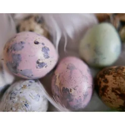 Wachteleier, Ostereier Osterdeko