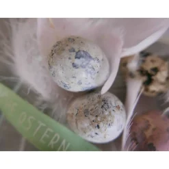 Wachteleier, Ostereier Osterdeko