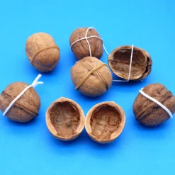 Walnussschale Paar passende Hälften braune Walnuss Schalen  - Naturprodukt zum Dekorieren + Basteln + Floristik