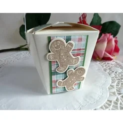 Weihnachtliche Box, Takeoutbox, Verpackung für Plätzchen