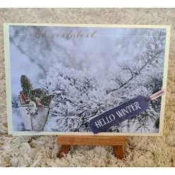 Weihnachtskarte mit Zweige , Hello Winter , Eimer