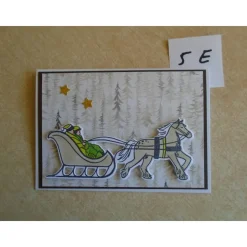 Weihnachtskarten  Schlittenfahrt Karte nach Wahl Weihnachtskarte