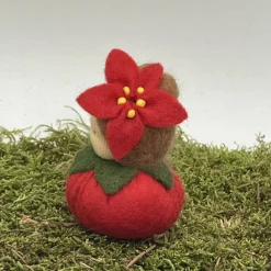 Weihnachtsstern Mini - Blumenkind - Jahreszeitentisch - Winter - Frühling