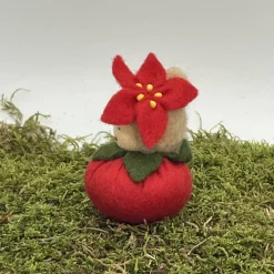 Weihnachtsstern Mini - Blumenkind - Jahreszeitentisch - Winter - Frühling