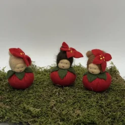 Weihnachtsstern Mini - Blumenkind - Jahreszeitentisch - Winter - Frühling