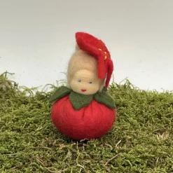 Weihnachtsstern Mini - Blumenkind - Jahreszeitentisch - Winter - Frühling