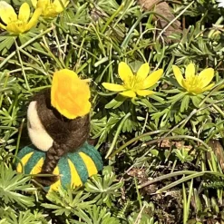 Winterlinge Mini - Blumenkind - Jahreszeitentisch - Winter - Frühling