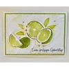 Wunderschöne 3D Grußkarte zum "spritzigen Geburtstag" Limetten  3D Handarbeit Unikart