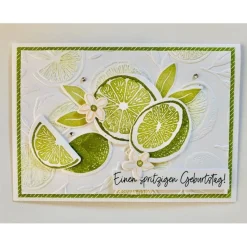 Wunderschöne 3D Grußkarte zum "spritzigen Geburtstag" Limetten  3D Handarbeit Unikart