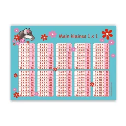 1x1 Lernposter | Pony Blumen - türkis rot