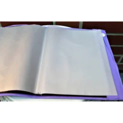 Zeugnissmappe / Zeugnisshülle aus Filz " kleine Leseratte"