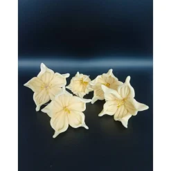 Zuckerblumen , Fondant Blumen, Zuckerfiguren, Tortendekoration, Geburtstag