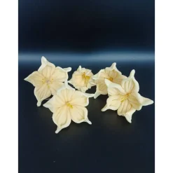 Zuckerblumen , Fondant Blumen, Zuckerfiguren, Tortendekoration, Geburtstag