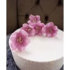 Zuckerblumen , Fondant Blumen, Zuckerfiguren, Tortendekoration, Geburtstag